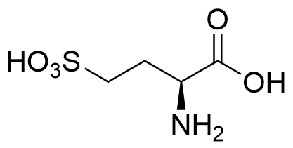 L homocysteic